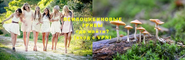 соль курить ск Богданович
