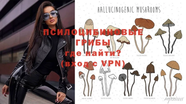 кокаин перу Богородицк